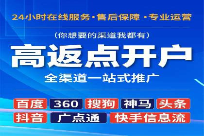 某企业选择SEM外包公司的决策与成果展示